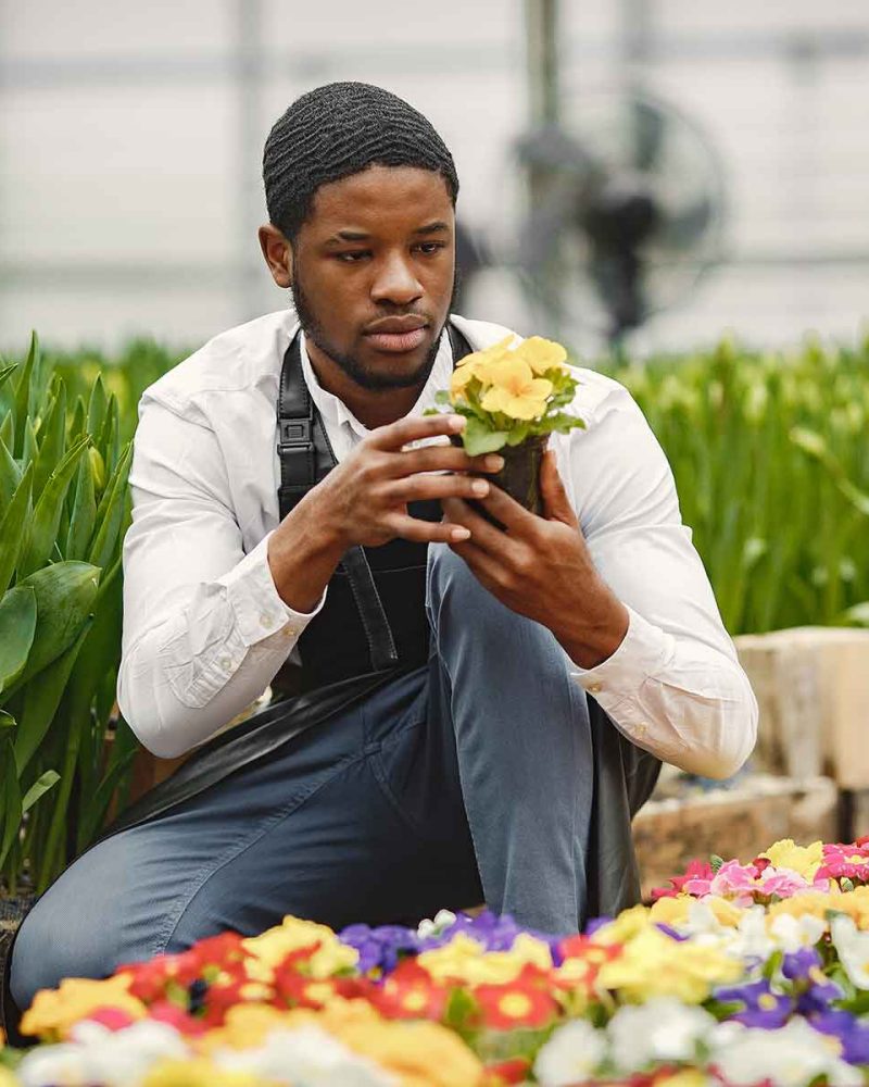 gardener-inspects-flowers-in-a-pot-in-greenhouse-YSJZSQC.jpg gardener-inspects-flowers-in-a-pot-in-greenhouse-YSJZSQC.jpg